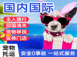 昆明长水国际宠物托运 【国